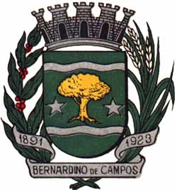 Professores bernardino de campos