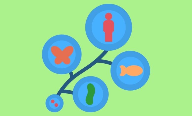 curso biologia evolutiva