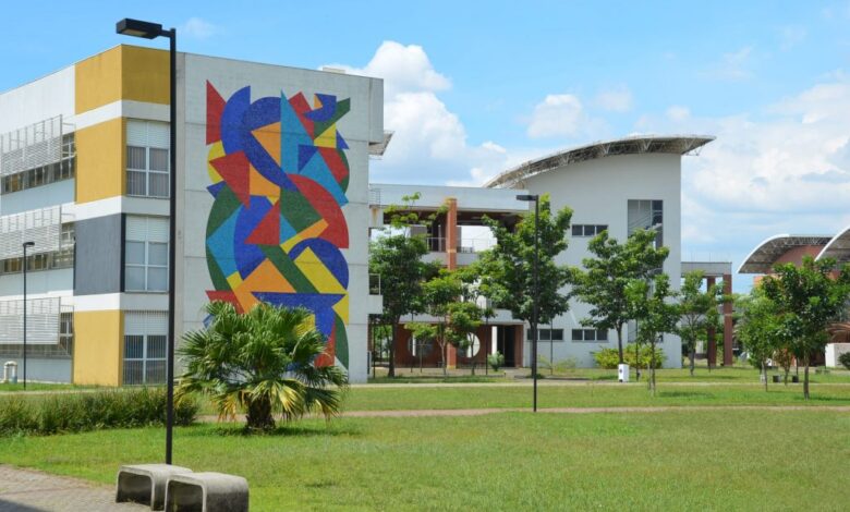 concurso usp