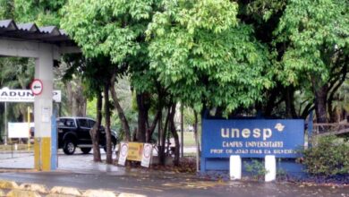mestrado unesp linguistica