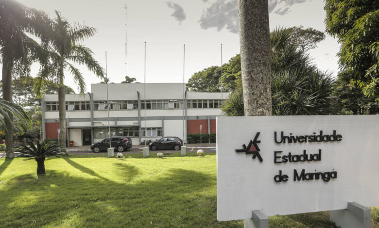 professor UEM 2021