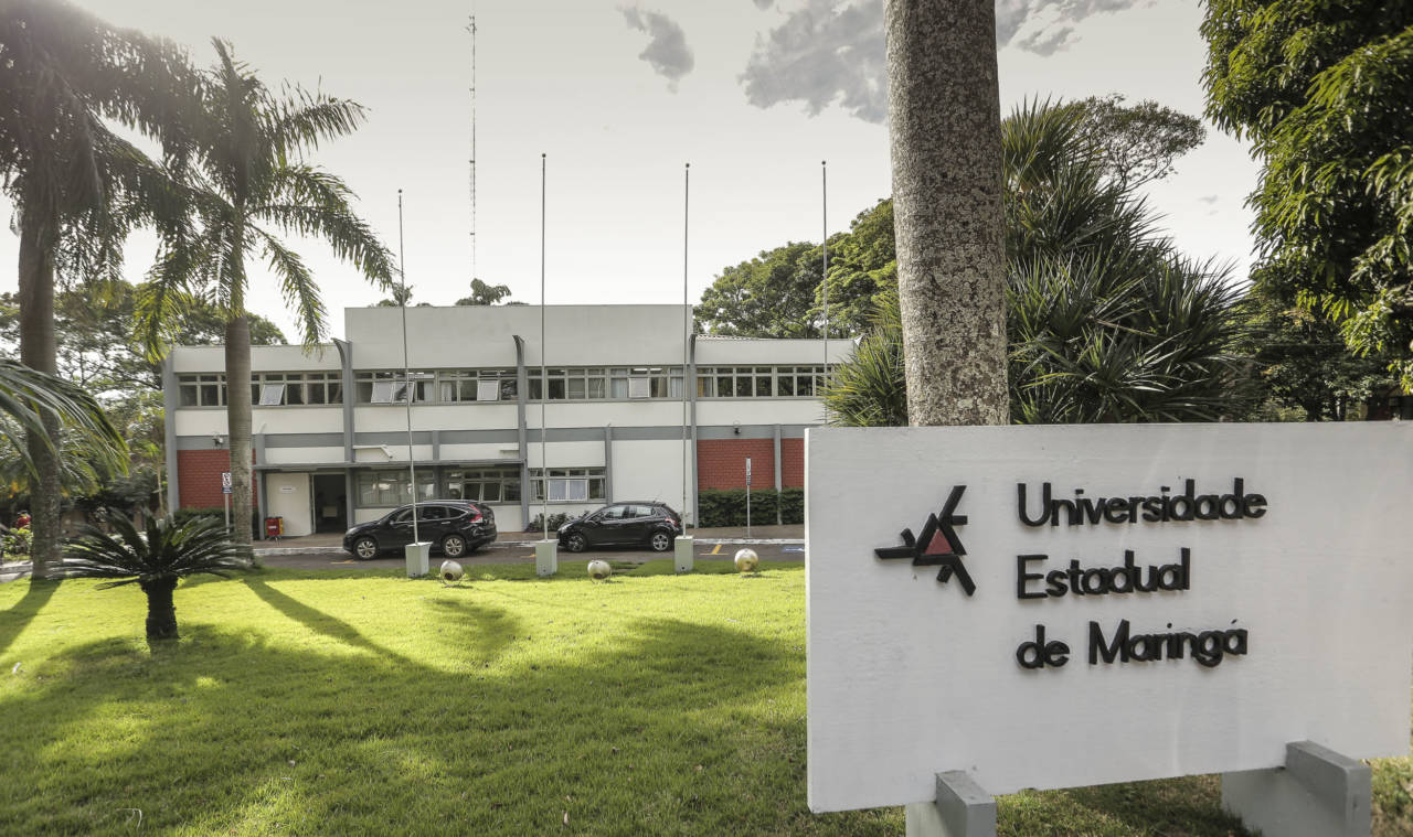 professor UEM 2021