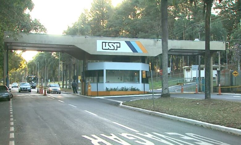 professor substituto usp