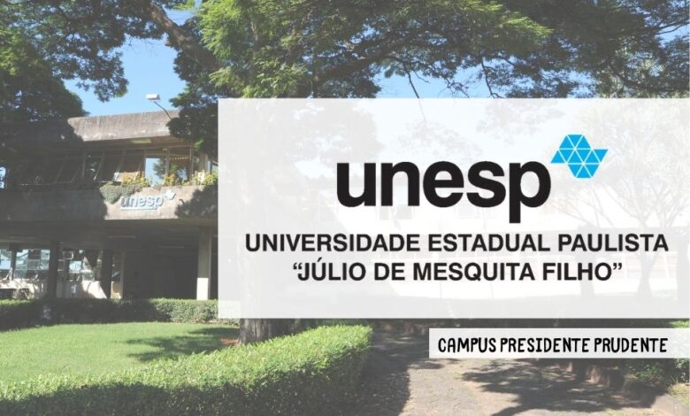 professor substituto UNESP