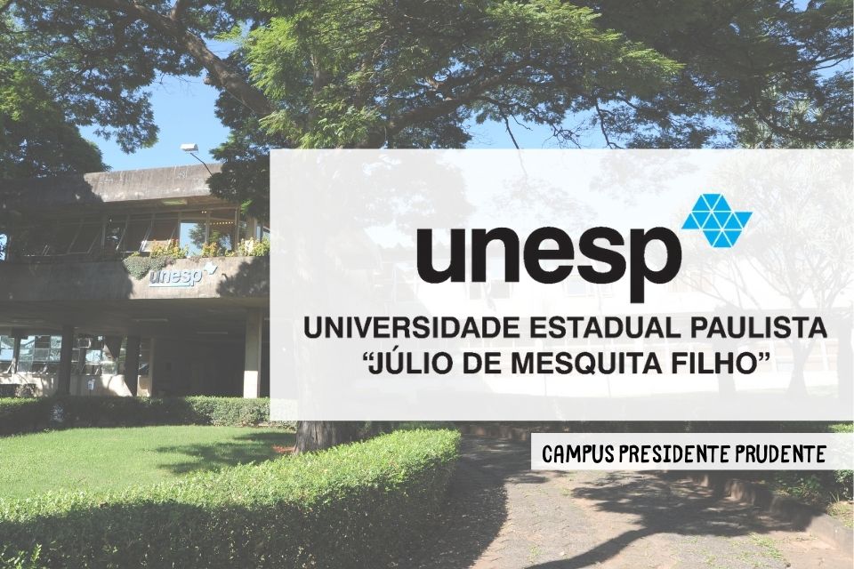 professor substituto UNESP