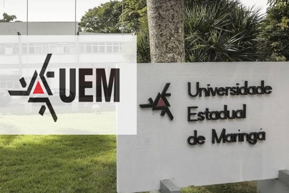 professor UEM 2021