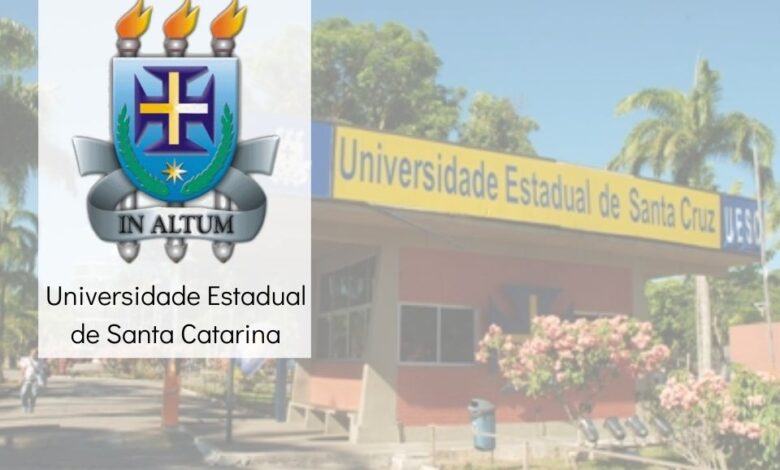 professor formador UESC