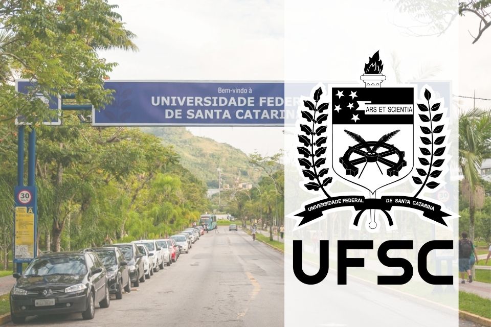 professor substituto UFSC