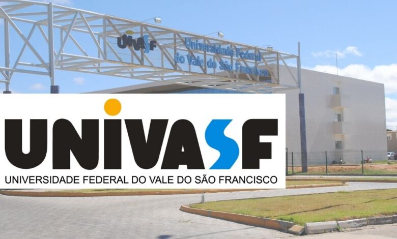 professores UNIVASF