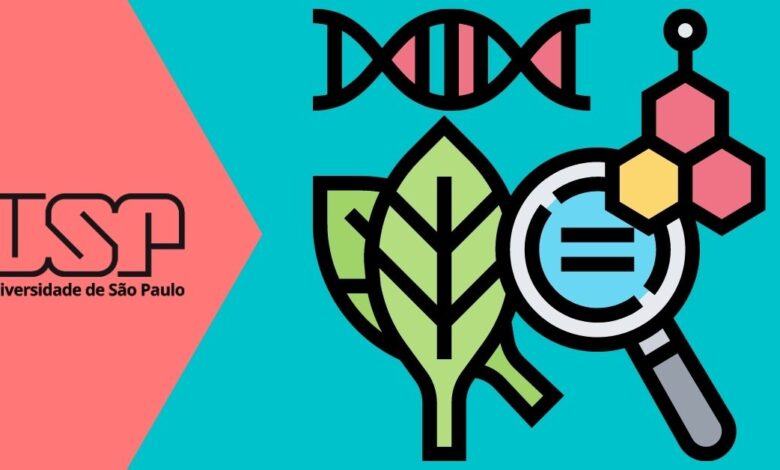 curso usp educação