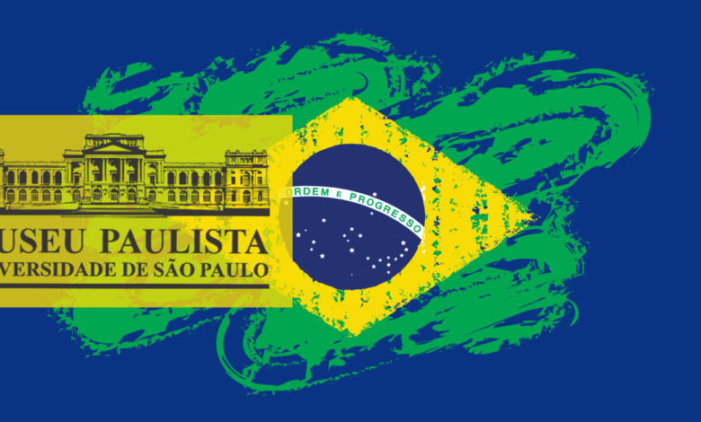 curso territórios em disputa