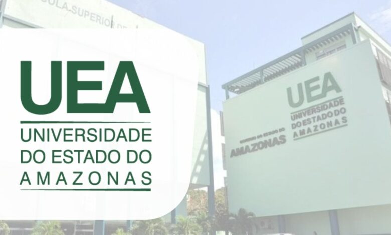 UEA professor temporário