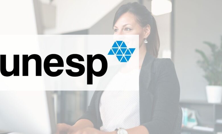 mestrado em administração UNESP