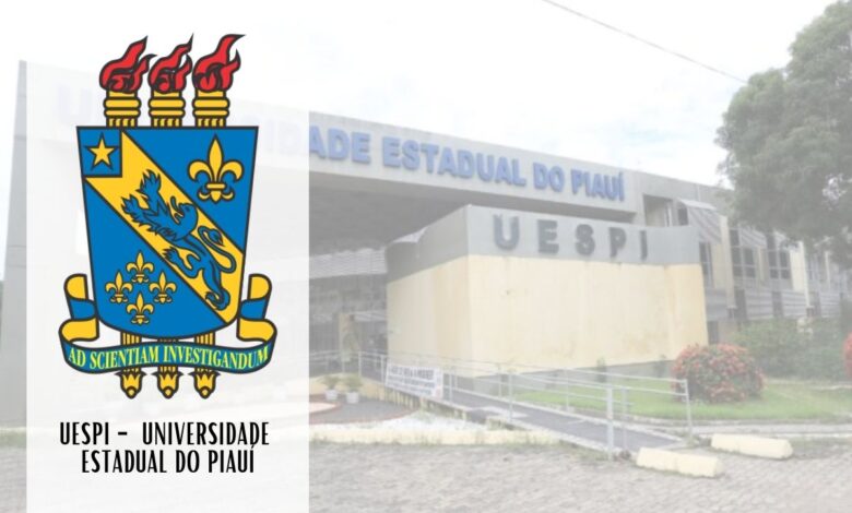 processo seletivo professores UESPI