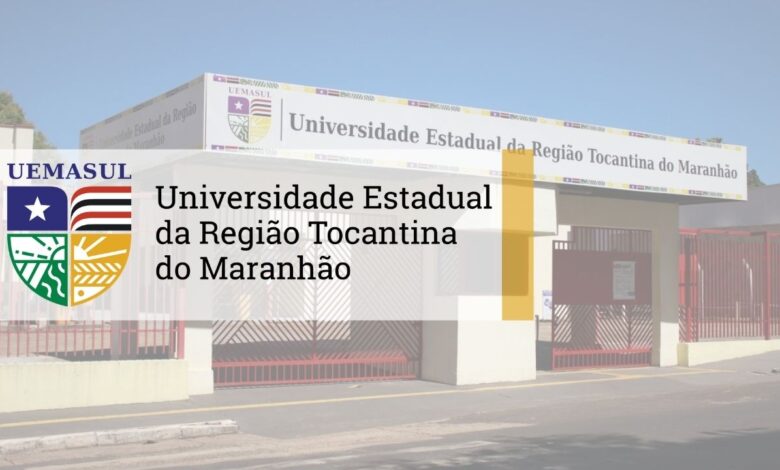 professores uemasul