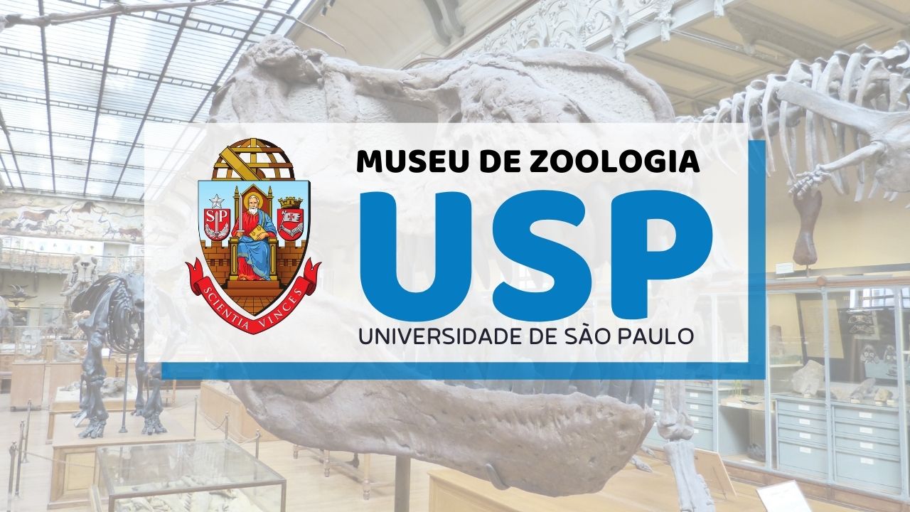 CURSO museu Zoologia CURSO museu Zoologia