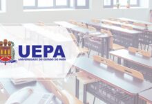 Ensino de Língua Portuguesa 2022