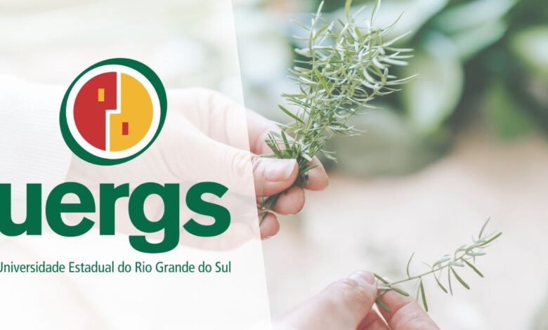 curso plantas medicinais EAD