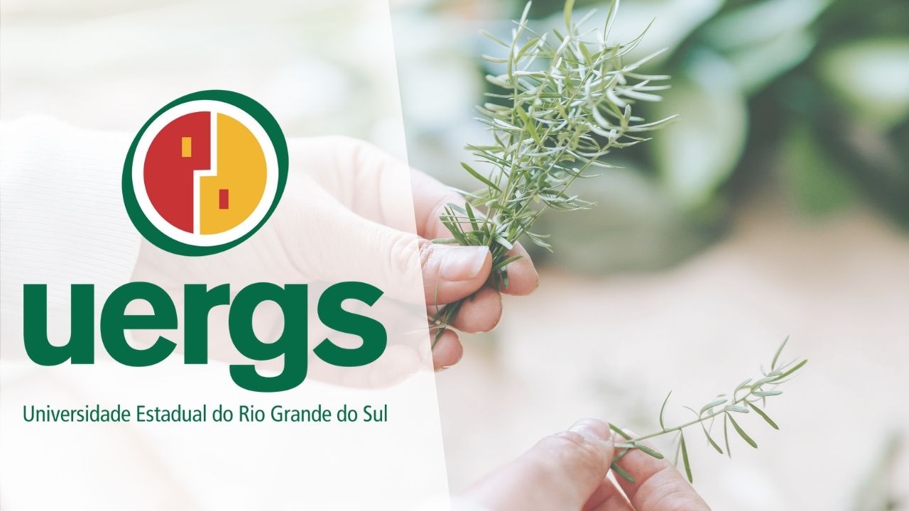 curso plantas medicinais EAD curso plantas medicinais EAD