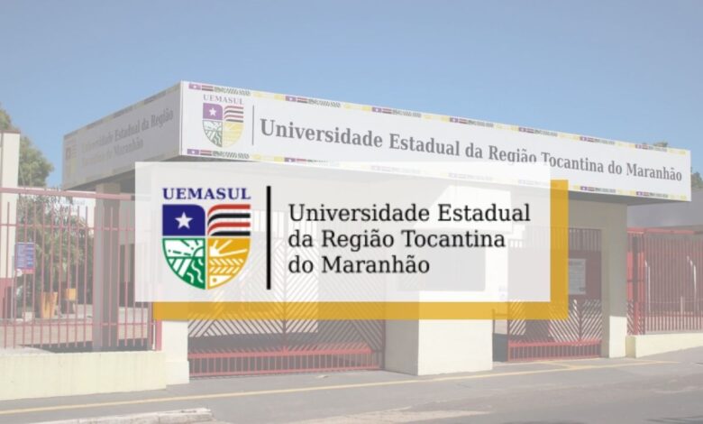 concurso professores UEMASUL