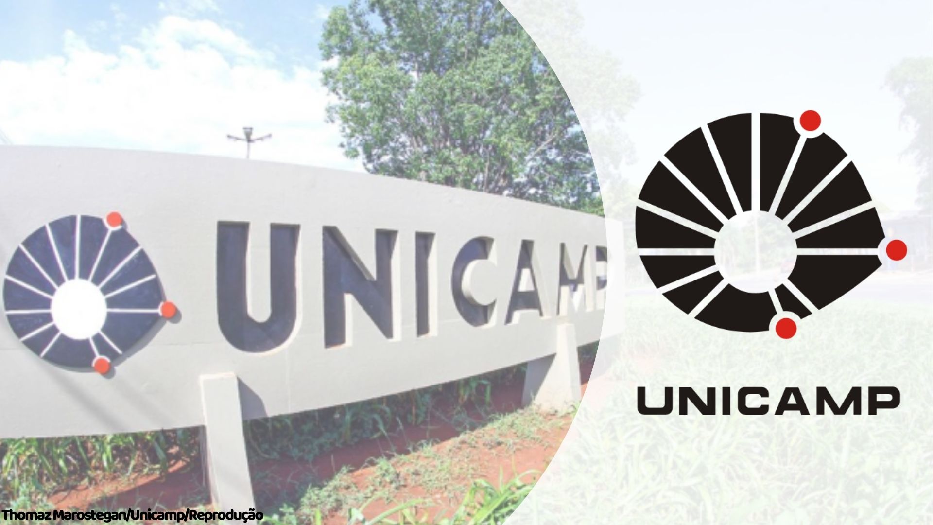 Concursos UNICAMP 2022 Concursos UNICAMP 2022