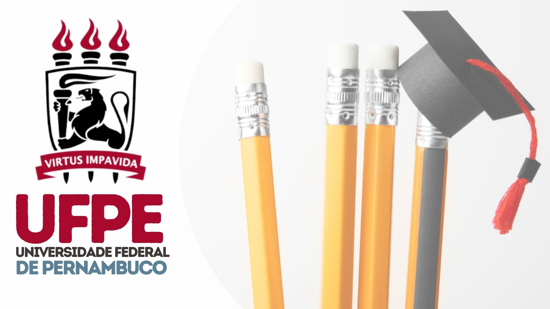 Mestrado Educação Básica UFPE Mestrado Educação Básica UFPE
