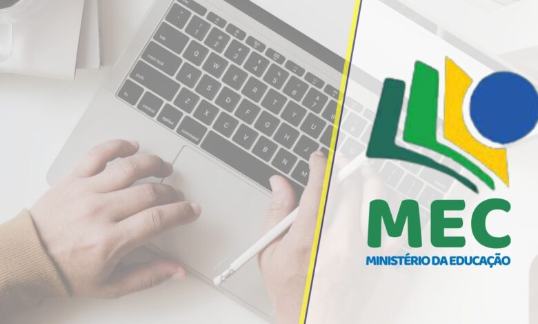 Consultor MEC