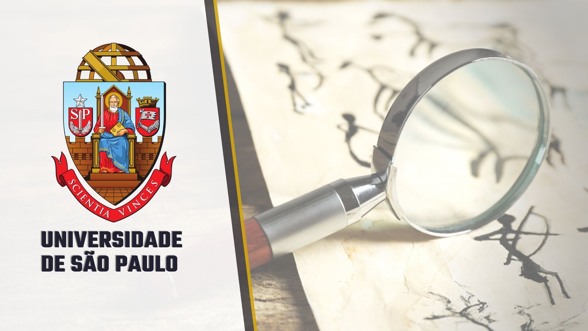 Curso Antropologia USP Curso Antropologia USP