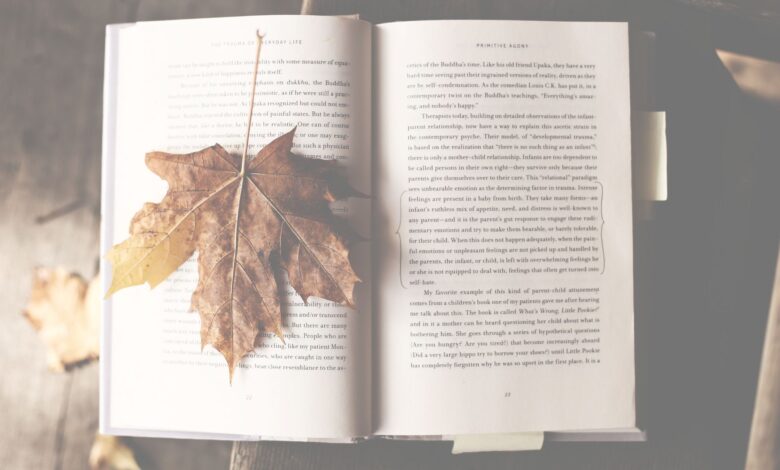 Curso Literatura da USP