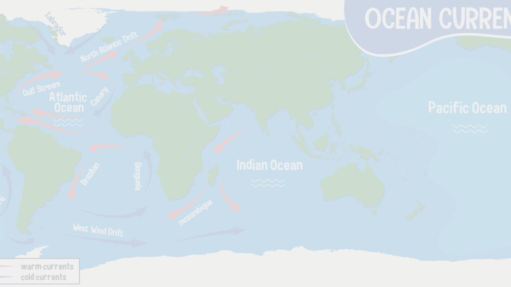 USP abre oferta para curso 100% EAD sobre Oceanografia | PEBSP