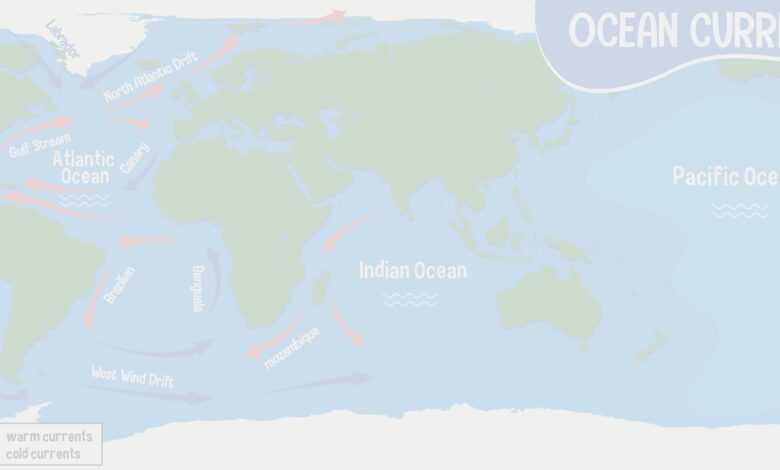 Curso Oceanografia USP