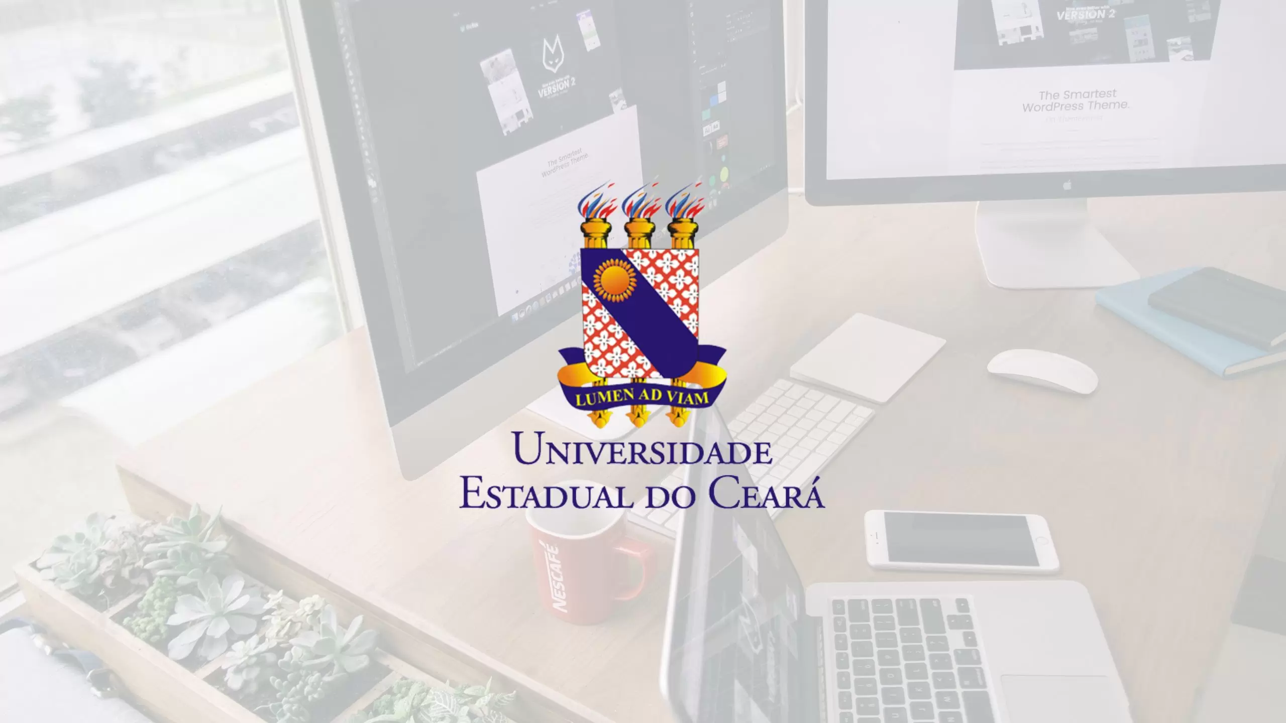 Graduação UECE EAD
