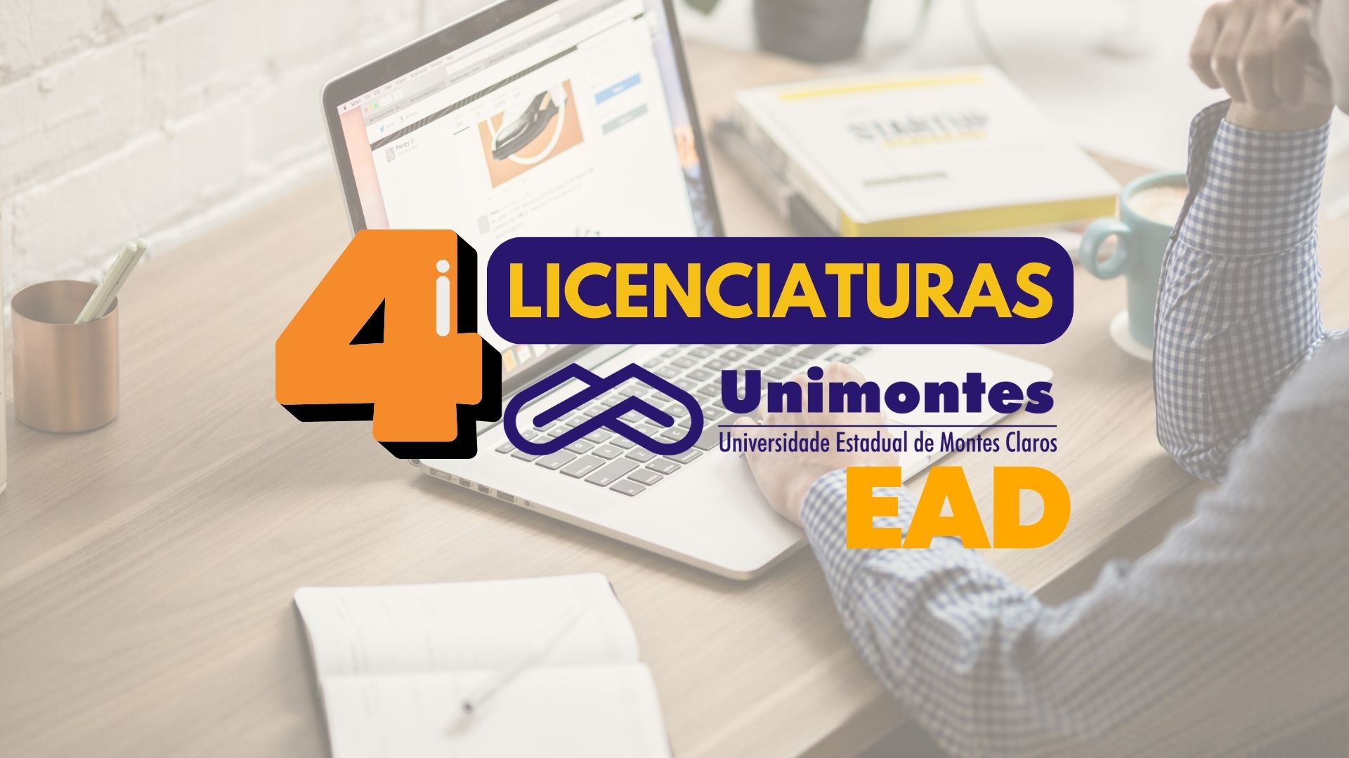 Licenciaturas EAD da Unimontes
