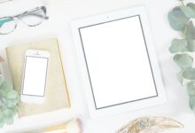 Especialização Professores UFPI