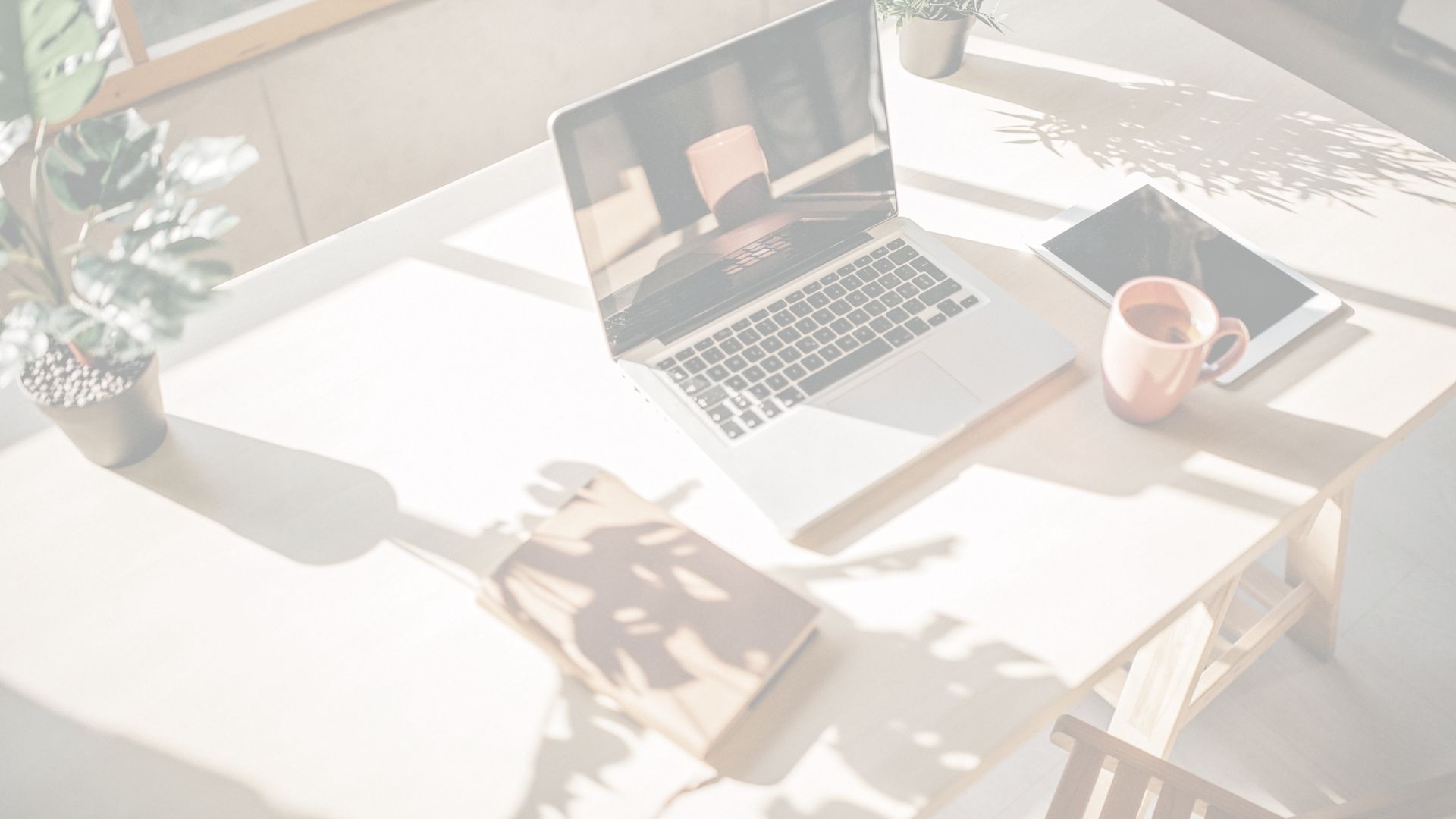 Curso Técnico Administração EAD IFSP