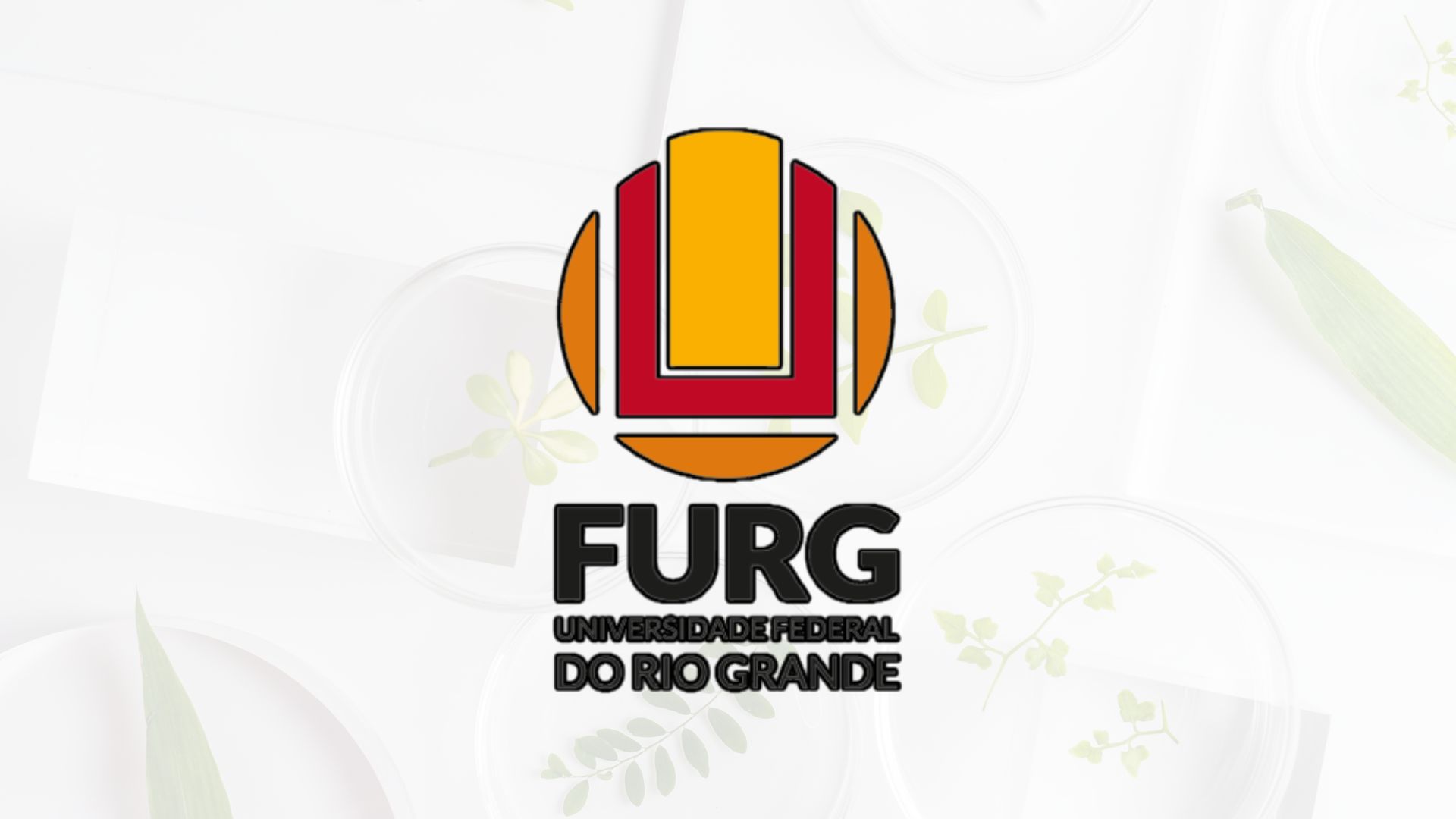 Especialização Professores FURG