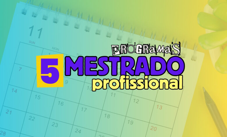 Mestrado Profissional MEC
