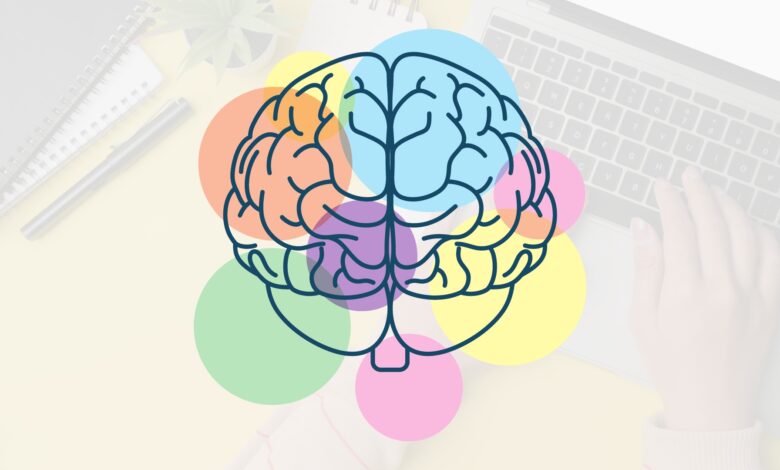 Curso EAD Neuroeducação MEC