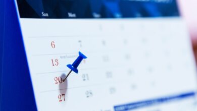 Decreto Pontos Facultativos 2024