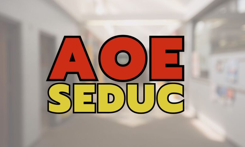 Governo de São Paulo autoriza a SEDUC - SP a contratar 14 mil vagas de Agente de Organização Escolar - AOE para o ano de 2024.