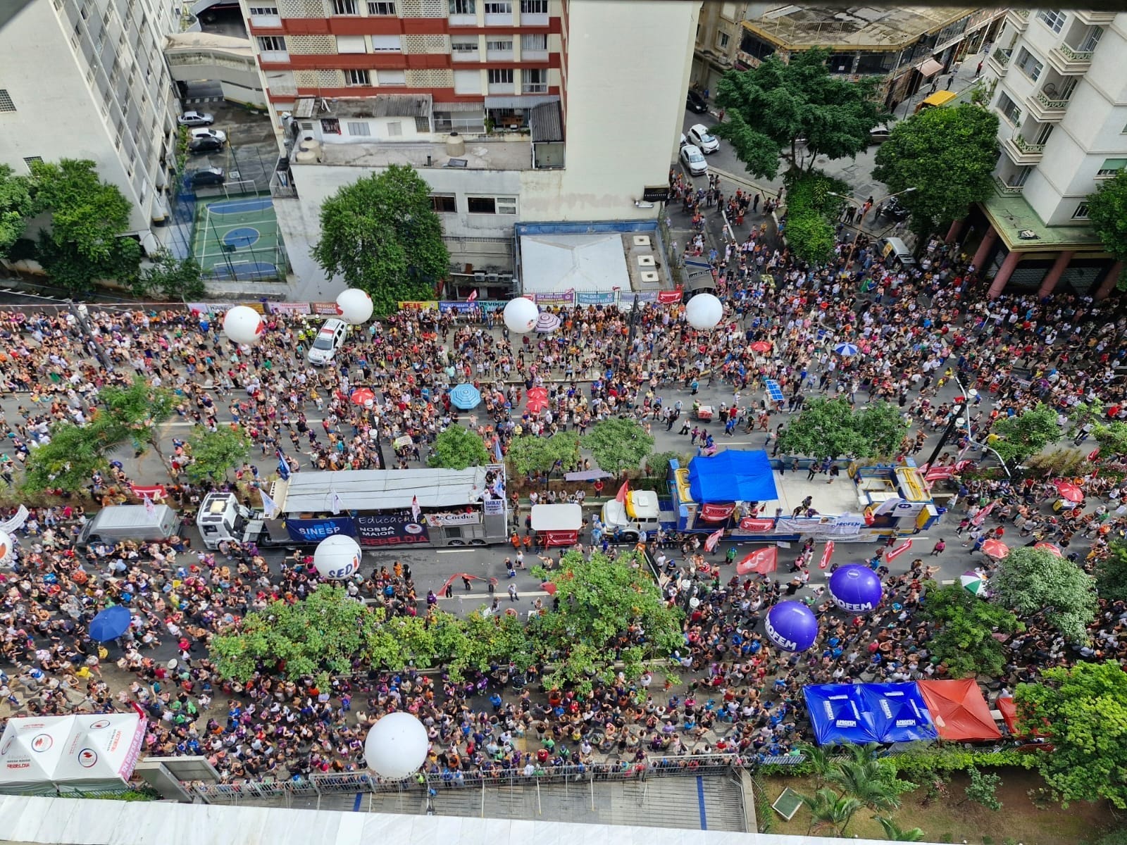 Imagem: APROFEM
