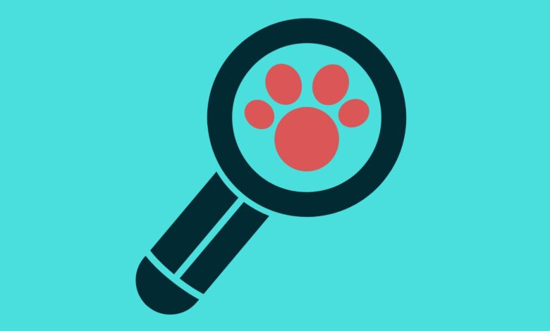 A Universidade de São Paulo - USP acaba de anunciar a abertura de inscrições para o curso de Zoologia Gratuito e com certificado.