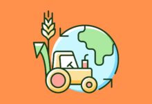 Universidade Federal de Rondonópolis - UFR abre inscrições para Especialização e Pós-Graduação EAD GRATUITA