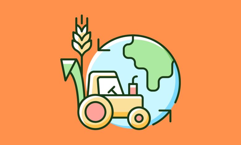 Universidade Federal de Rondonópolis - UFR abre inscrições para Especialização e Pós-Graduação EAD GRATUITA