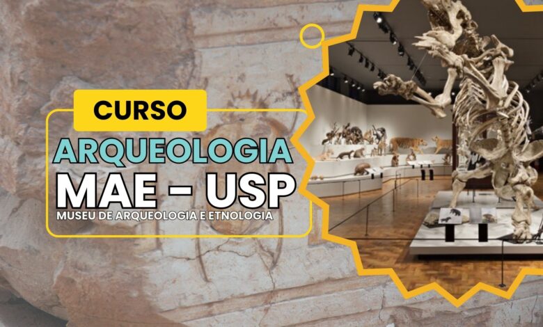 Garanta uma das 1200 vagas em 3 cursos EAD gratuitos do Museu de Arqueologia e Etnologia da USP. Receba certificado reconhecido no BRASIL!