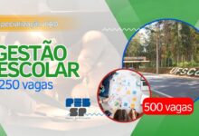 UFSCar abre inscrições para Especialização em Gestão Escolar, com 250 vagas 100% EAD para graduados. Inscreva-se já!
