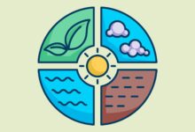 EAD IFMS: Especialização em Conservação da Natureza abre 150 vagas. Inscrições até 05/11 e oportunidades em diversas cidades.