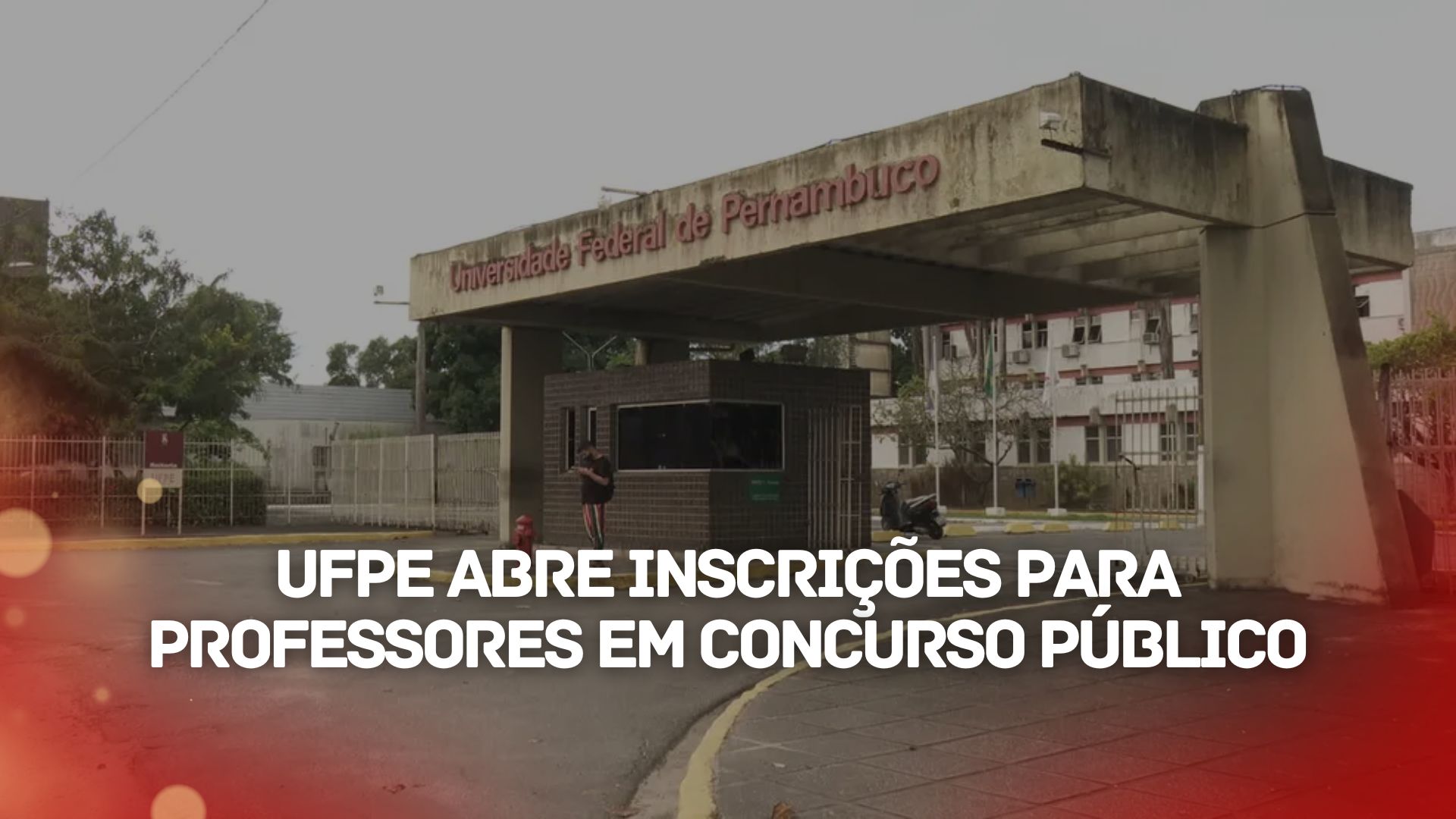 Universidade Federal - UFPE abre inscrições para o Concurso Público de Professores Efetivos com 45 vagas em diversas áreas de atuação!