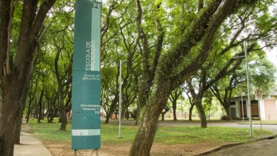 Último dia para se inscrever no curso sobre cinema brasileiro, censura e direitos humanos da USP. Garanta sua vaga hoje na Plataforma APOLO!