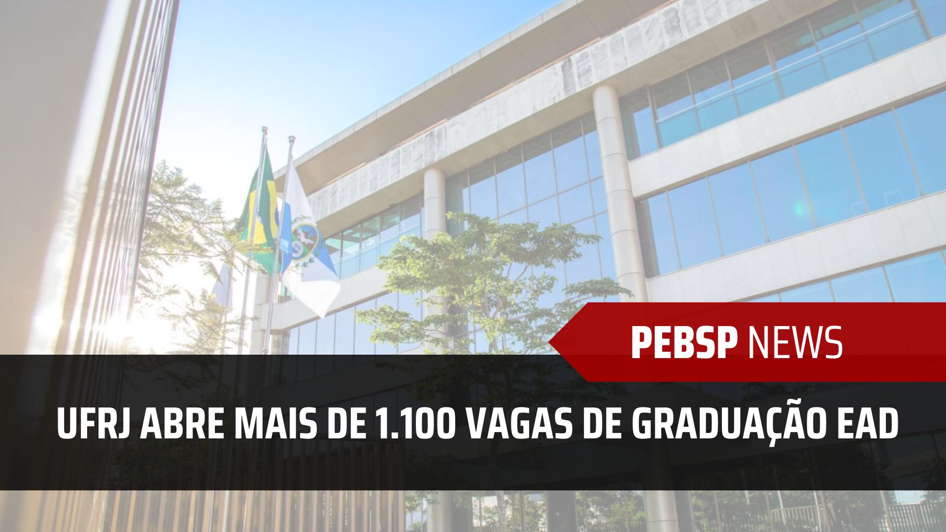 UFRJ anuncia Edital com 1.150 vagas para Graduação EAD: Biologia, Química, Física e Ciências Contábeis com inscrições até 24/11!